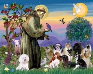 Pet Blessing – St. Francis de Sales Catholic Church